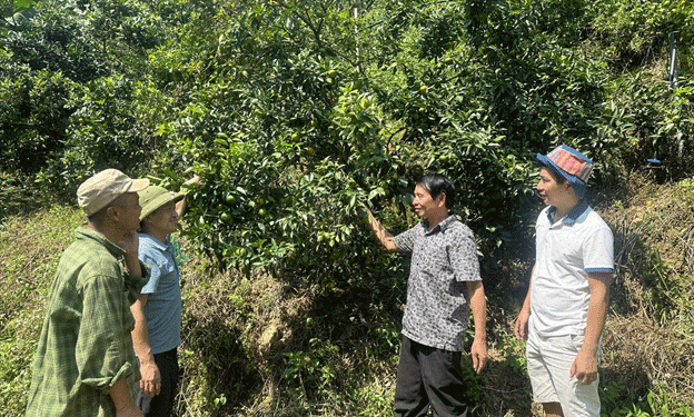 Starting a Farm at 50: The Inspiring Story of a Successful Late-Career Farmer