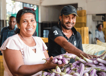 Modern Farming Practices Transforming Smallholder Agriculture in Sri Lanka