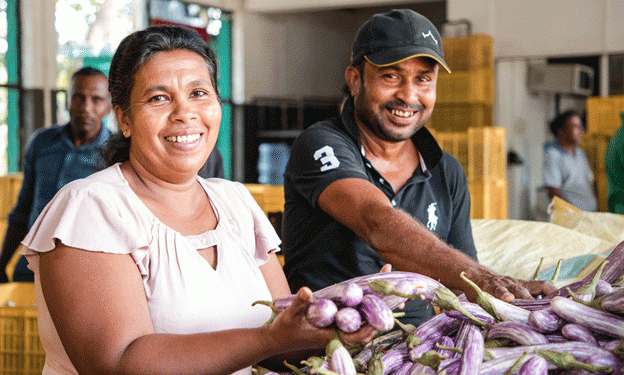 Modern Farming Practices Transforming Smallholder Agriculture in Sri Lanka