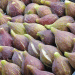 Samsun Leads Turkey in Unique “Purple Eggplant Fig” Production with Geographical Indication on the Horizon