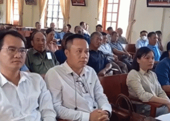 Yen Hoa’s Signature Water Celery: A Cholesterol-Free, Magnesium-Rich Crop with New Brand Protection