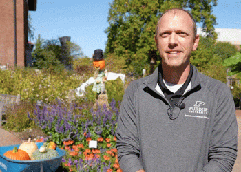 2024 Pumpkin Harvest Shines: Above-Average Yields and Early Season Boost