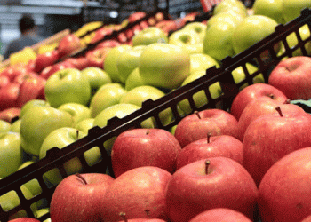 Record Apple Prices in Ukraine: Factors Driving the Surge