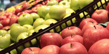 Record Apple Prices in Ukraine: Factors Driving the Surge