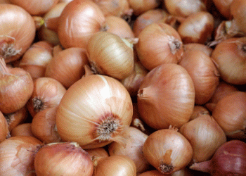 Rising Global Demand for Austrian Onions: Export Opportunities and Challenges for Farmers