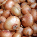 Rising Global Demand for Austrian Onions: Export Opportunities and Challenges for Farmers