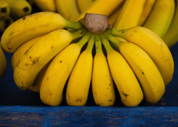 Colombian Banana Producers Urge European Retailers for Fairer Pricing