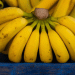 Colombian Banana Producers Urge European Retailers for Fairer Pricing