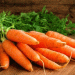 Costa Rica’s Carrot Production Soars by 31%: A Leap Toward Self-Sufficiency