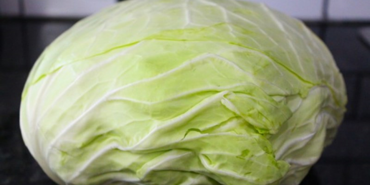 Connecting Generations: A NorCal Farmer Revives Taiwanese Heritage Through Sustainable Farming