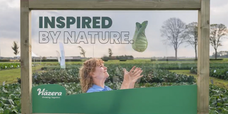 Successful Conclusion of Hazera’s International Open Days 2024