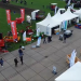 Innovation in Harvesting: The Dewulf P3CL-Profi Takes Center Stage at Bejo Days 2024