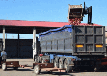 Winter-Ready Produce: How Grodno Region Prepares for the Off-Season with Stabilization Funds