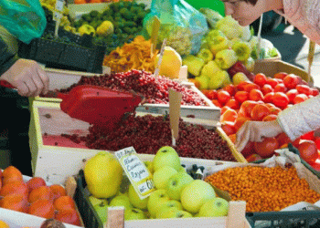 Bolivia’s Alarming Food Inflation: Impact on Agriculture and Economic Stability