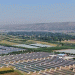 Pingliang City Leads Gansu Province with 11.8% Growth in Vegetable Production in 2024