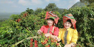 Building Raw Material Zones for Agro-Processing: A Sustainable Path for Agriculture