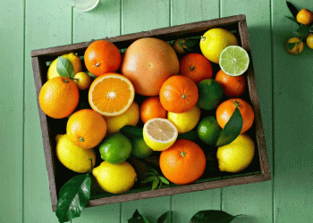 Andalusian Citrus Forecast Revised: A Closer Look at Production Gains and Industry Impact