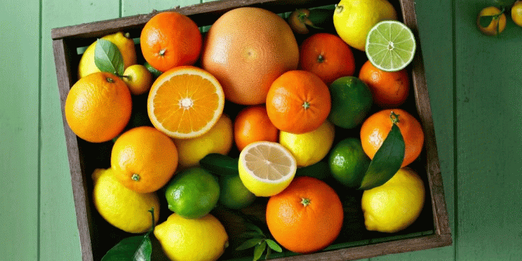Andalusian Citrus Forecast Revised: A Closer Look at Production Gains and Industry Impact