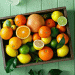 Andalusian Citrus Forecast Revised: A Closer Look at Production Gains and Industry Impact