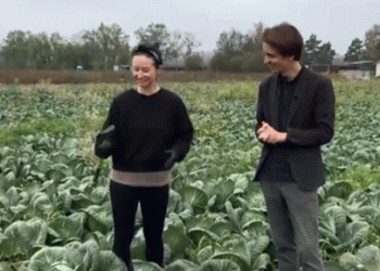 Time to Chop Cabbage: Farmers in Leningrad Oblast Gather Their Autumn Harvest