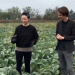 Time to Chop Cabbage: Farmers in Leningrad Oblast Gather Their Autumn Harvest