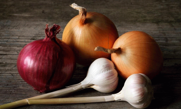 Why Planting Onions and Garlic Together Is a Bad Idea: Key Insights for a Healthier Harvest