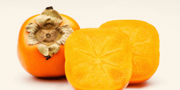 Kaki Harvest Kicks Off in Turkey: What to Expect This Season