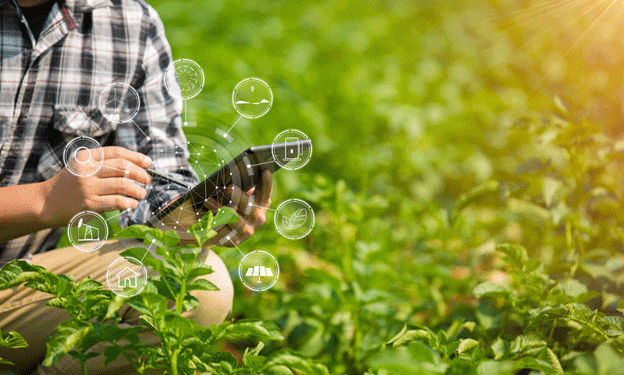 Synergy Marine Group Champions Onboard AI Agriculture for Healthier Crews and a Greener Future