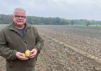 Niedersachsen’s Potato Boom: 2024 Sees Record Harvest Despite Weather Challenges