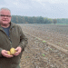 Niedersachsen’s Potato Boom: 2024 Sees Record Harvest Despite Weather Challenges