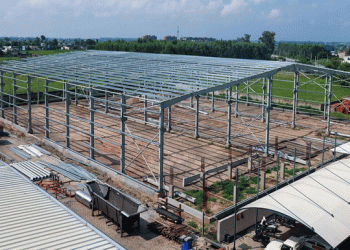 Allround Vegetable Processing Expands Global Reach with New Facilities and Advanced Technology