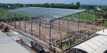 Allround Vegetable Processing Expands Global Reach with New Facilities and Advanced Technology