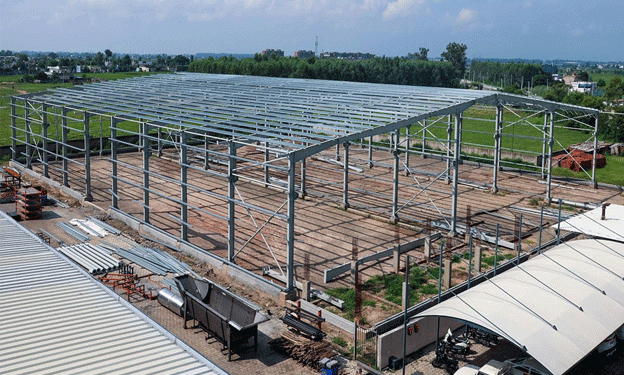 Allround Vegetable Processing Expands Global Reach with New Facilities and Advanced Technology