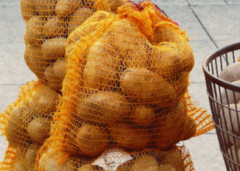 Potato Market Trends in Eastern Germany: Steady Prices and Seasonal Challenges