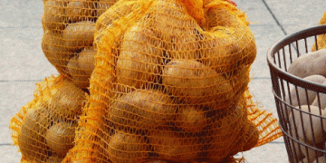 Potato Market Trends in Eastern Germany: Steady Prices and Seasonal Challenges