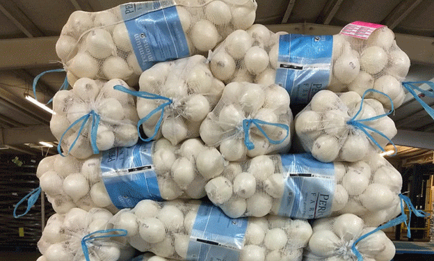 Onion Harvest 2024-25: Growers Anticipate a Season of High Quality and Steady Supply