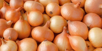 Malaysia’s $2.55 Million Investment to Boost Onion Production: A Path to Agricultural Self-Sufficiency