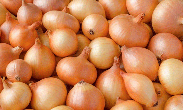 Malaysia’s $2.55 Million Investment to Boost Onion Production: A Path to Agricultural Self-Sufficiency