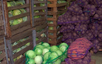 Securing Belarus’ Winter Produce: How Stabilization Funds Keep Shelves Stocked with Local Goods