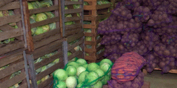 Securing Belarus’ Winter Produce: How Stabilization Funds Keep Shelves Stocked with Local Goods