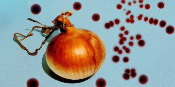 America’s Onion Problem: Understanding the Unexpected Rise in Contamination