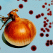 America’s Onion Problem: Understanding the Unexpected Rise in Contamination