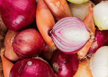 Soaring Onion Prices: Understanding the Crisis and Its Impact on India’s Agriculture