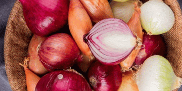 Soaring Onion Prices: Understanding the Crisis and Its Impact on India’s Agriculture