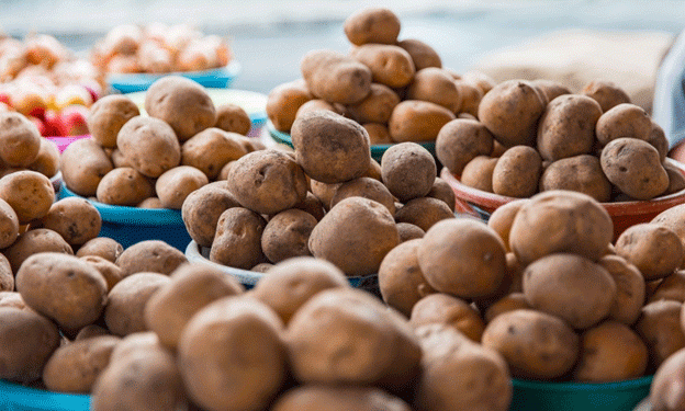 Primorye Achieves Record Potato and Vegetable Harvest in 2024: Over 75,000 Tons Produced