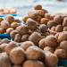 Primorye Achieves Record Potato and Vegetable Harvest in 2024: Over 75,000 Tons Produced