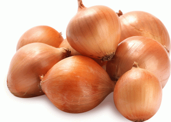 20 Tons of Imported Onions Rejected in Chelyabinsk: What Farmers Need to Know