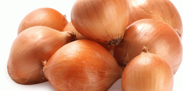 20 Tons of Imported Onions Rejected in Chelyabinsk: What Farmers Need to Know