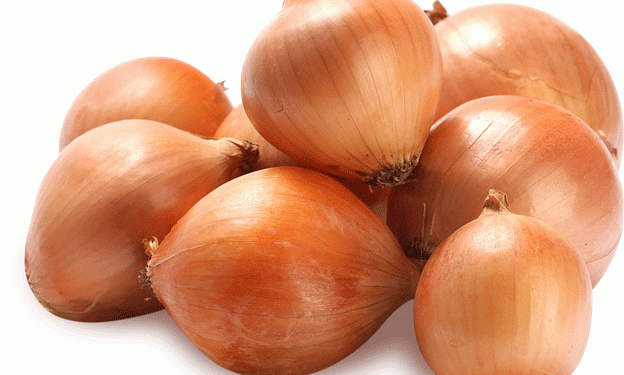 20 Tons of Imported Onions Rejected in Chelyabinsk: What Farmers Need to Know