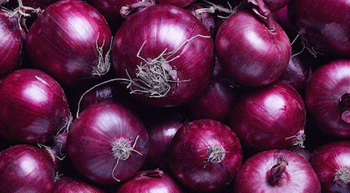 Government Moves to Stabilize Onion Prices Amid Supply Constraints